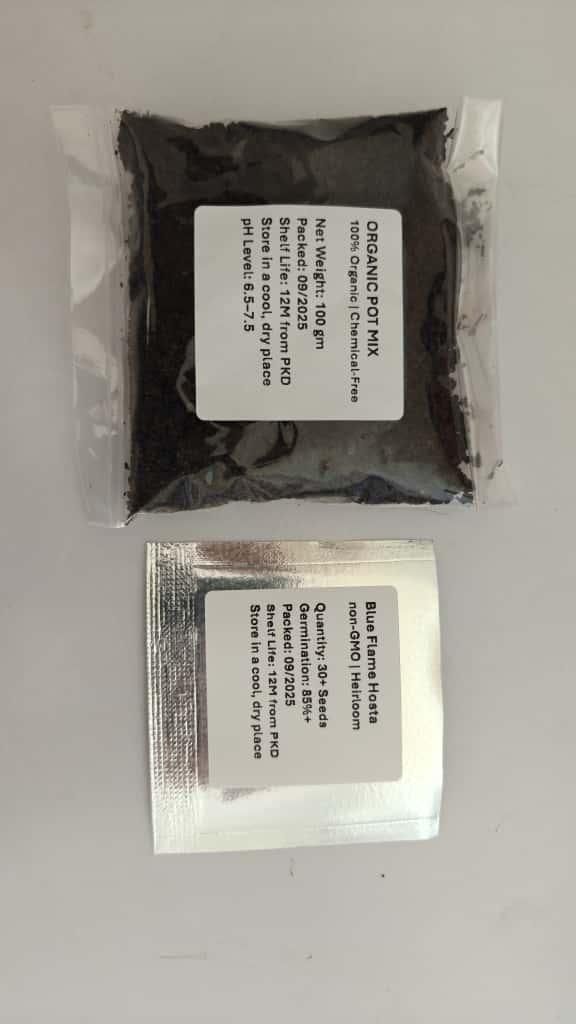 Blue Flame Hostas and Free Organic Pot Mix 100 Grams